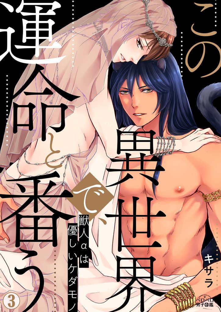 この異世界で、運命と番う～獣人αは優しいケダモノ～(3)