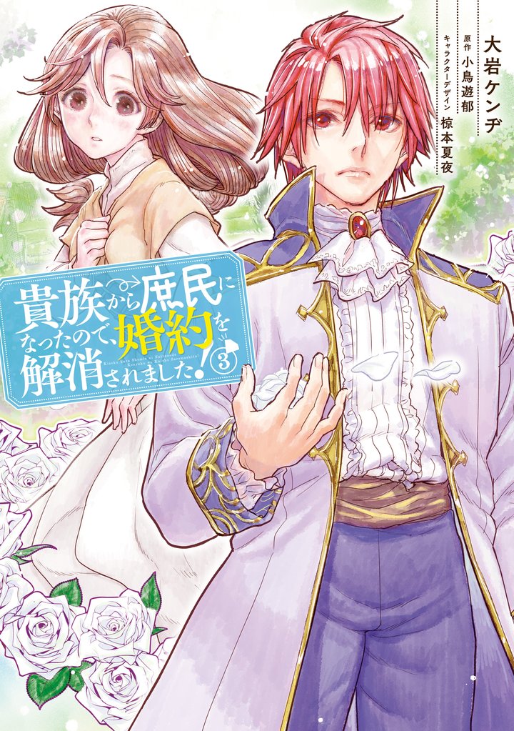 貴族から庶民になったので、婚約を解消されました！(3)