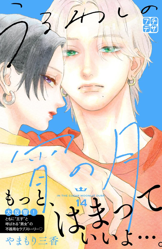 うるわしの宵の月 プチデザ(14)