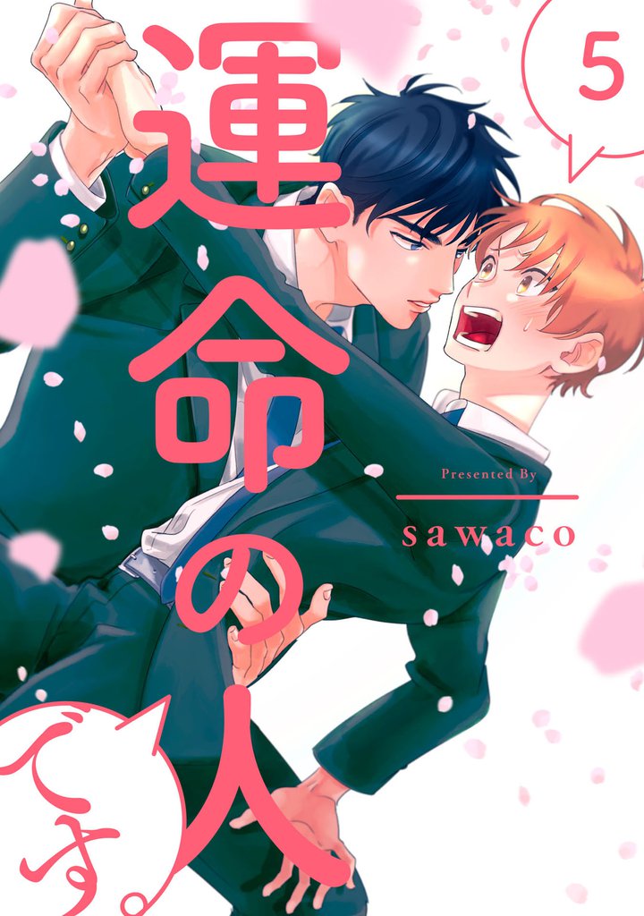 運命の人です。 5 冊セット 全巻