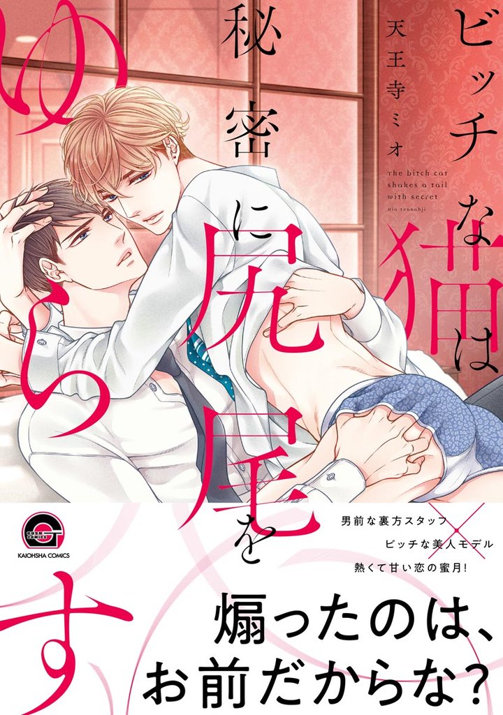 ビッチな猫は秘密に尻尾をゆらす【電子限定かきおろし漫画付】　【シリーズ 4】