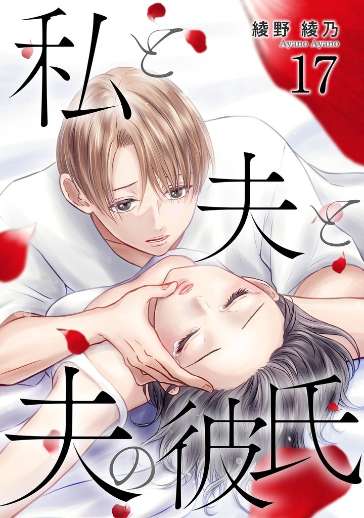 私と夫と夫の彼氏 17 冊セット 最新刊まで