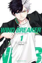 漫画 電子書籍 ＷＩＮＤ　ＢＲＥＡＫＥＲ の表紙画像