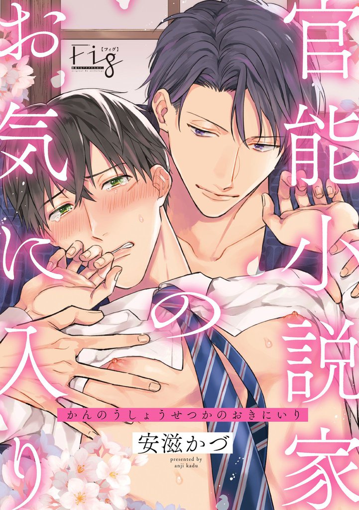 官能小説家のお気に入り 6 冊セット 最新刊まで
