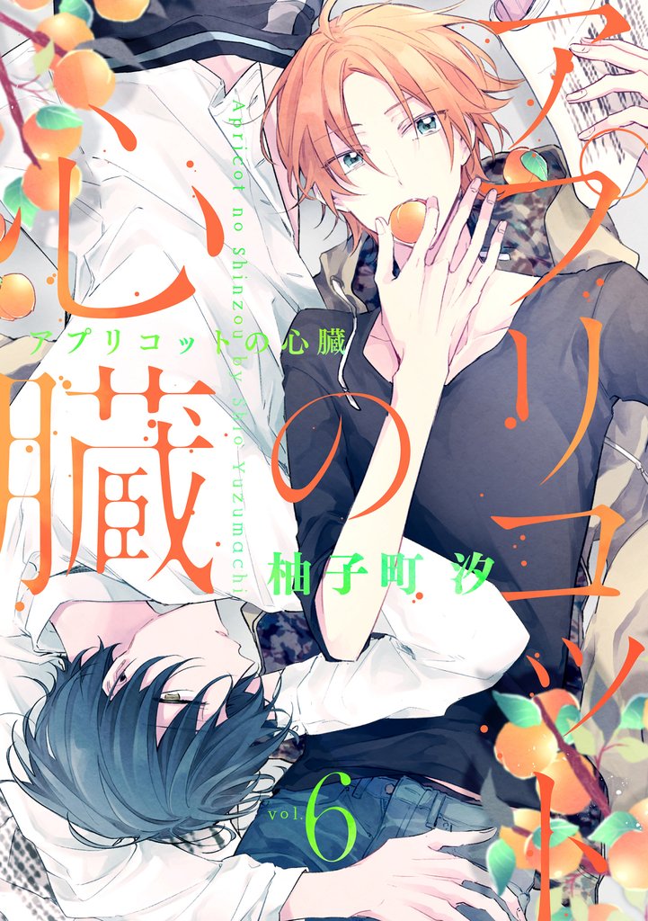 アプリコットの心臓 6 冊セット 全巻