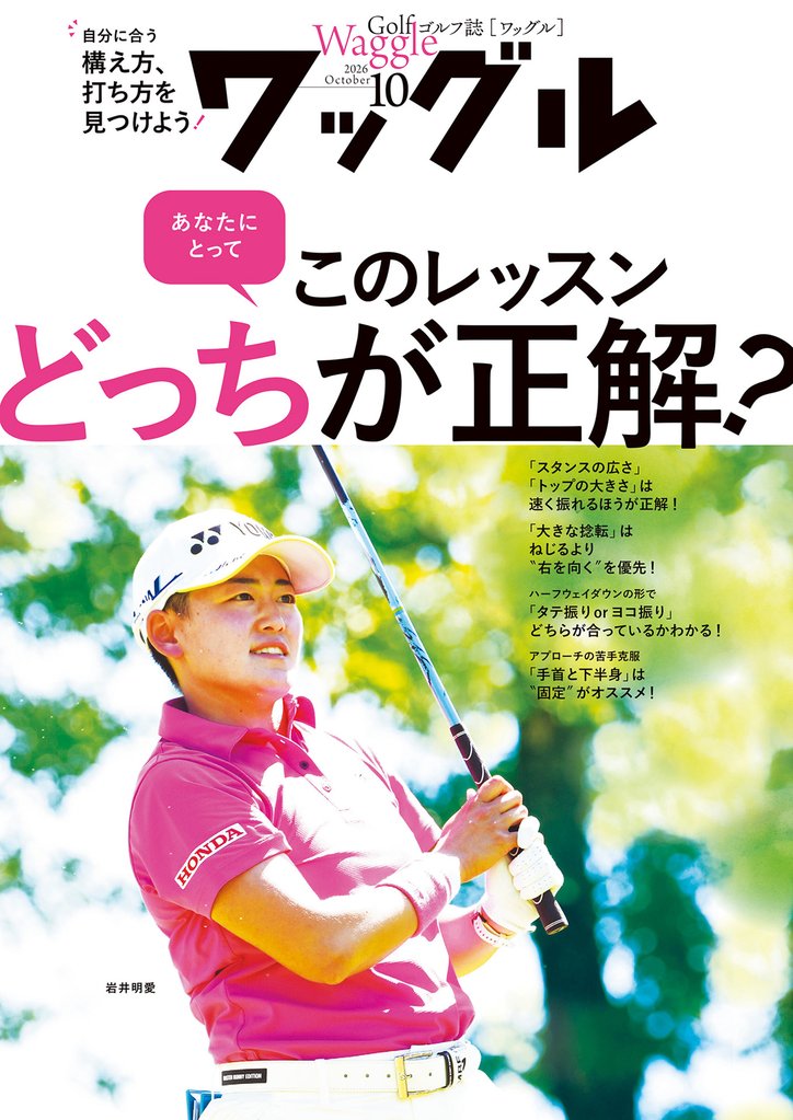 ワッグル 12 冊セット 最新刊まで