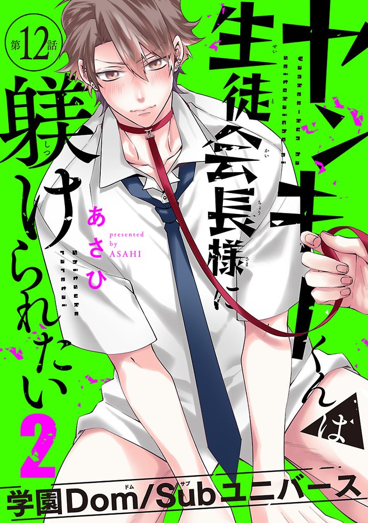 ヤンキーくんは生徒会長様に躾けられたい 12 冊セット 全巻