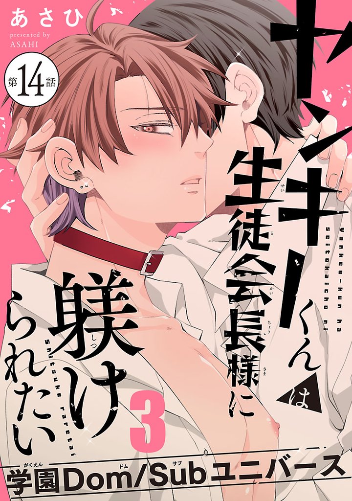 ヤンキーくんは生徒会長様に躾けられたい　#14