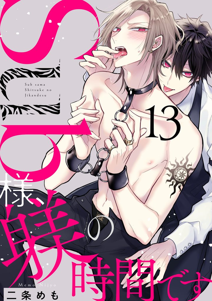 Sub様、躾の時間です 15 冊セット 全巻
