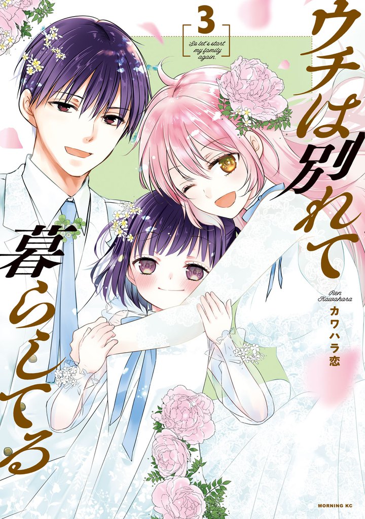 ウチは別れて暮らしてる(3)