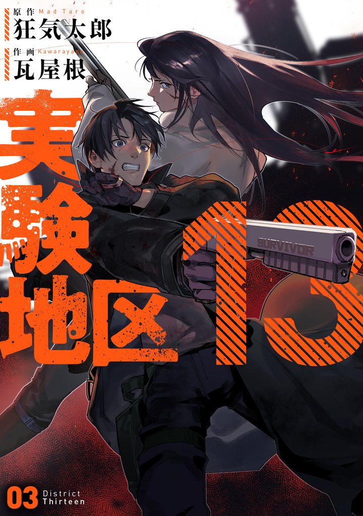実験地区13