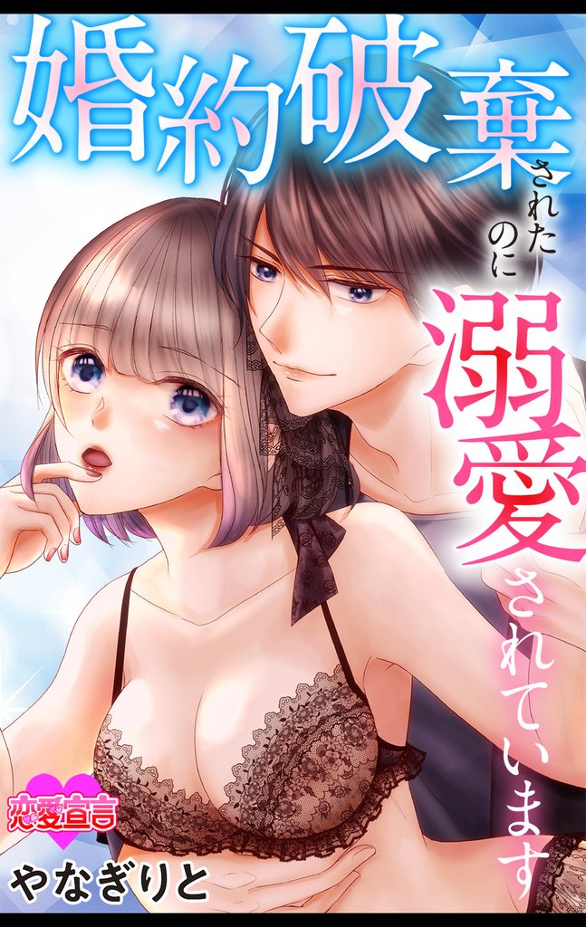 婚約破棄されたのに溺愛されています 18 冊セット 最新刊まで