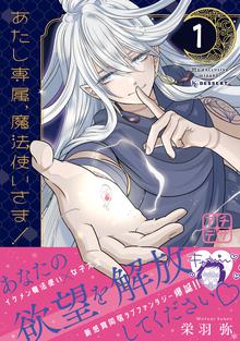 マンガ 電子書籍 あたし専属、魔法使いさま！　プチデザ の表紙画像
