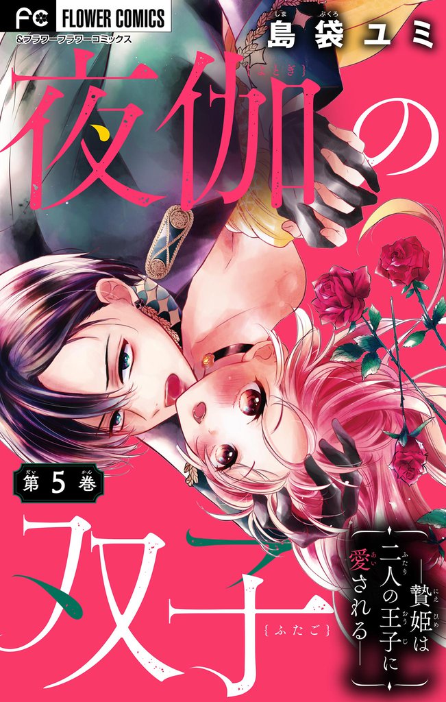 夜伽の双子―贄姫は二人の王子に愛される―【マイクロ】（５）