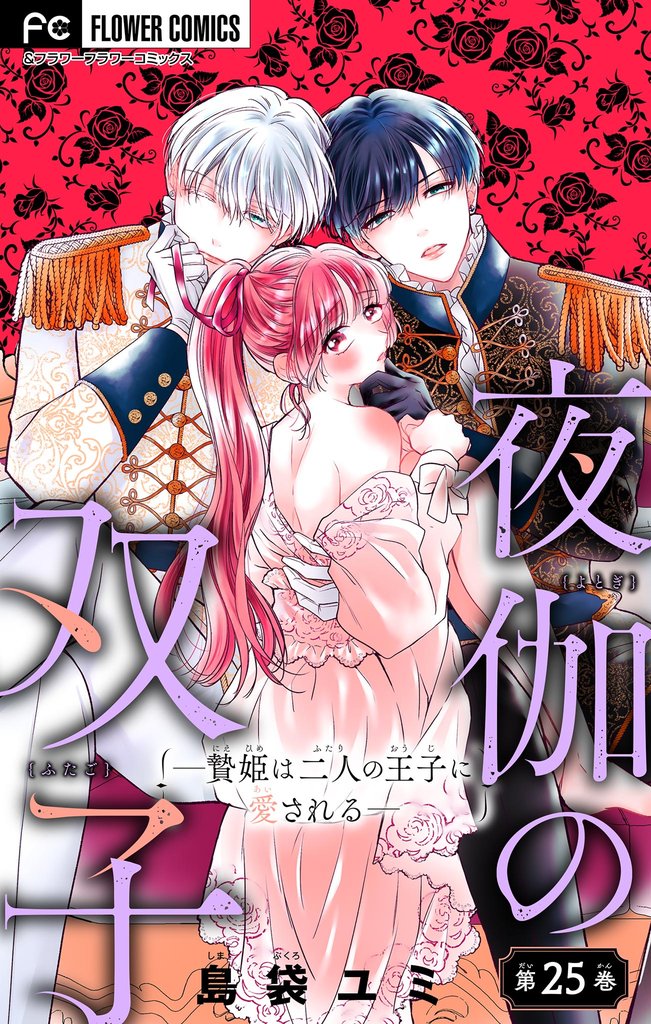 夜伽の双子―贄姫は二人の王子に愛される―【マイクロ】（２５）