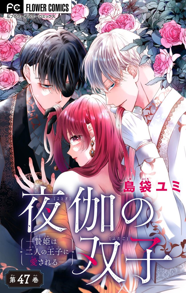 夜伽の双子―贄姫は二人の王子に愛される―【マイクロ】（４７）