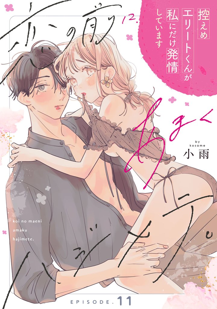 恋の前に、あまくハジメテ。 控えめエリートくんが私にだけ発情しています Episode.11《Pinkcherie》