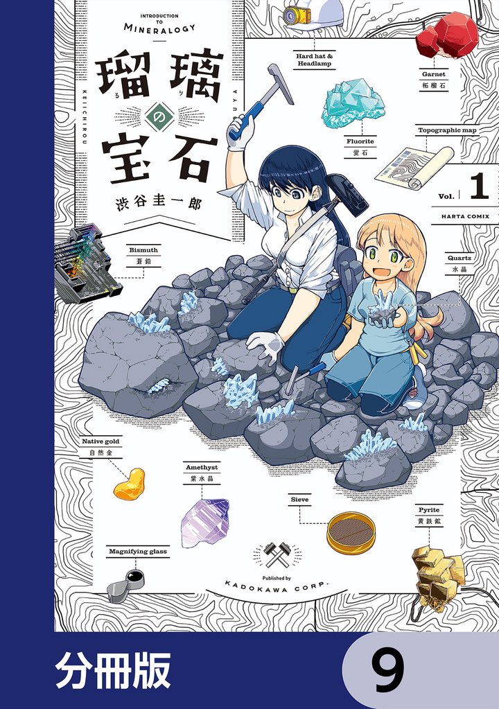 瑠璃の宝石【分冊版】　9