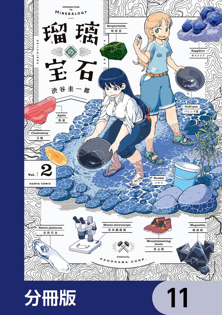 瑠璃の宝石【分冊版】　11