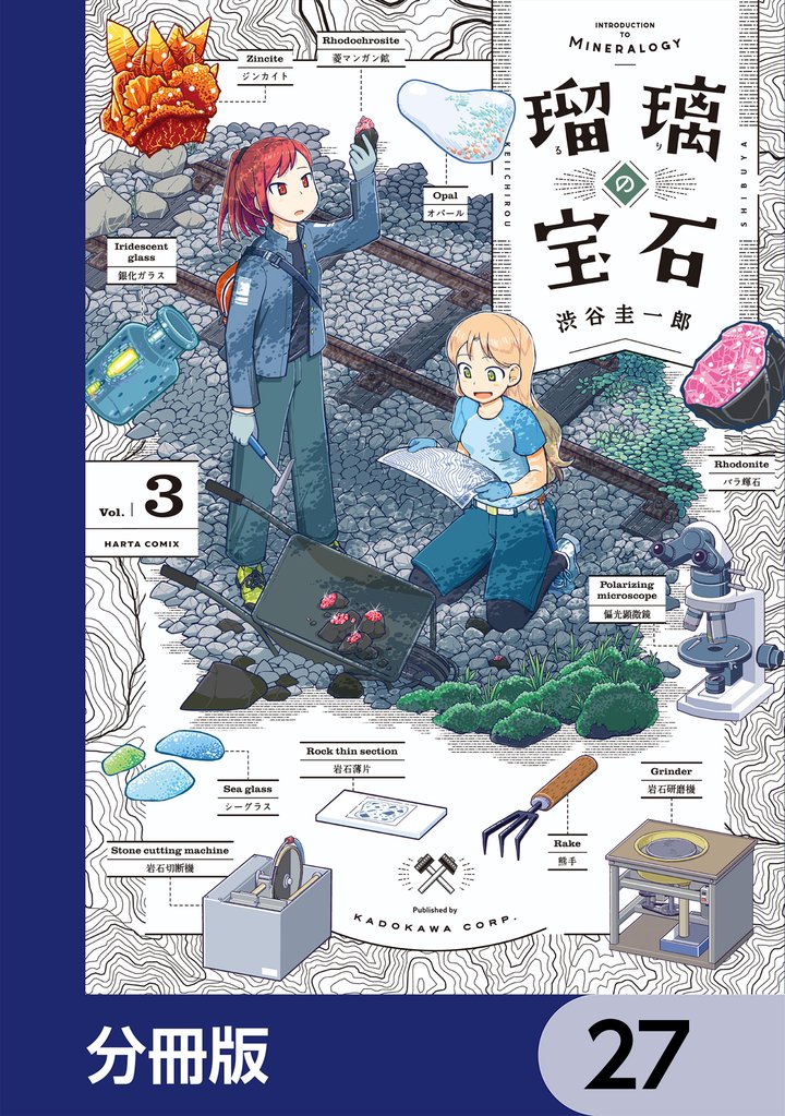 瑠璃の宝石【分冊版】　27