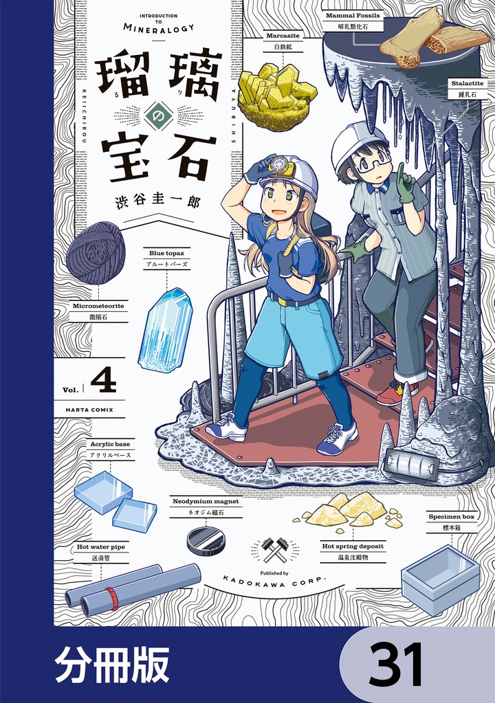 瑠璃の宝石【分冊版】　31