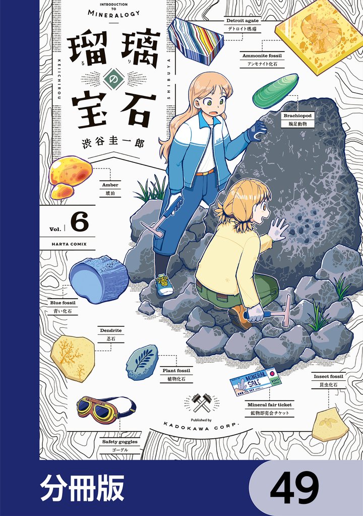 瑠璃の宝石【分冊版】　49