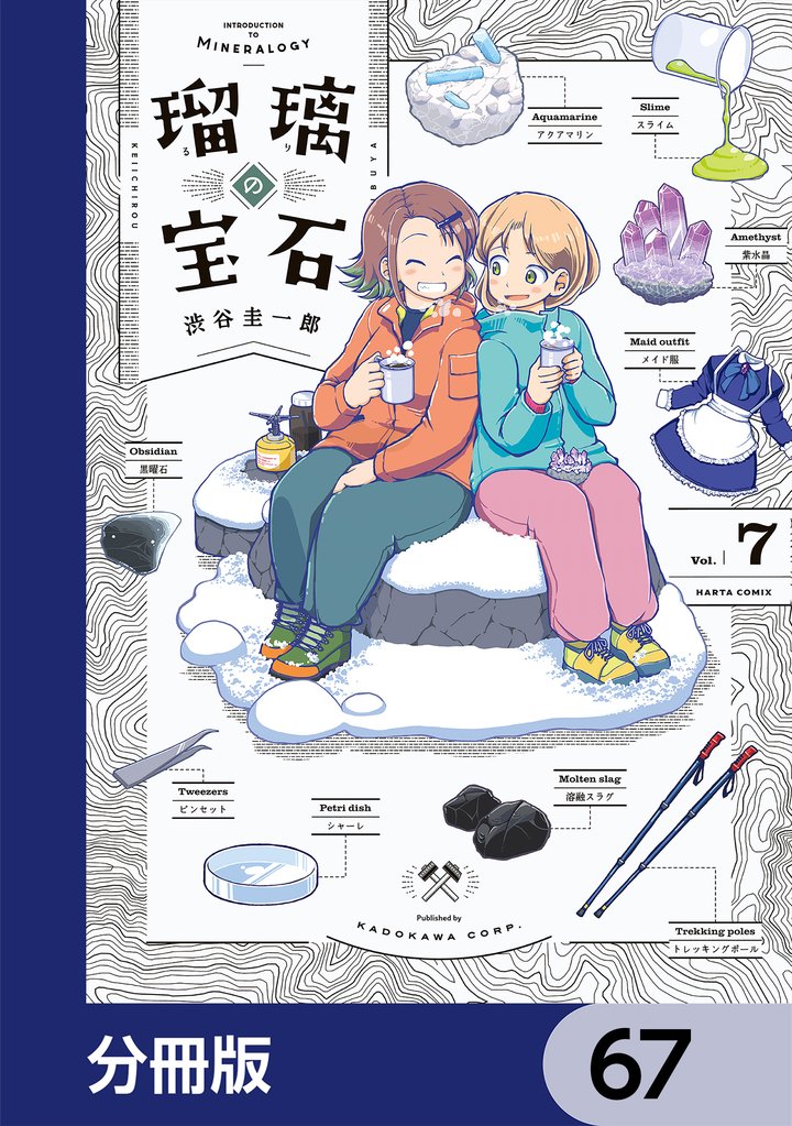 瑠璃の宝石【分冊版】　67