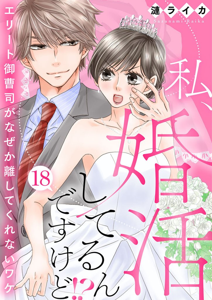 私、婚活してるんですけど！？～エリート御曹司がなぜか離してくれないワケ～ 18 冊セット 全巻