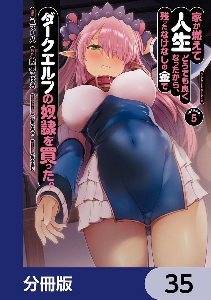 家が燃えて人生どうでも良くなったから、残ったなけなしの金でダークエルフの奴隷を買った。【分冊版】　35