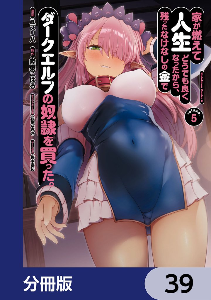 家が燃えて人生どうでも良くなったから、残ったなけなしの金でダークエルフの奴隷を買った。【分冊版】　39