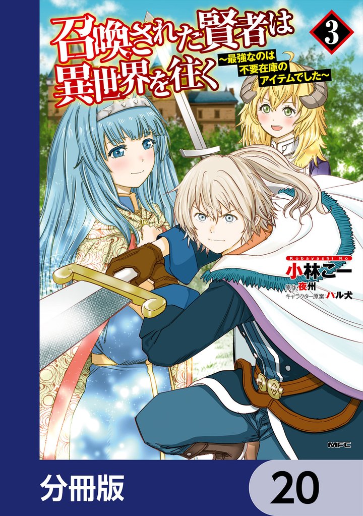 召喚された賢者は異世界を往く　～最強なのは不要在庫のアイテムでした～【分冊版】　20