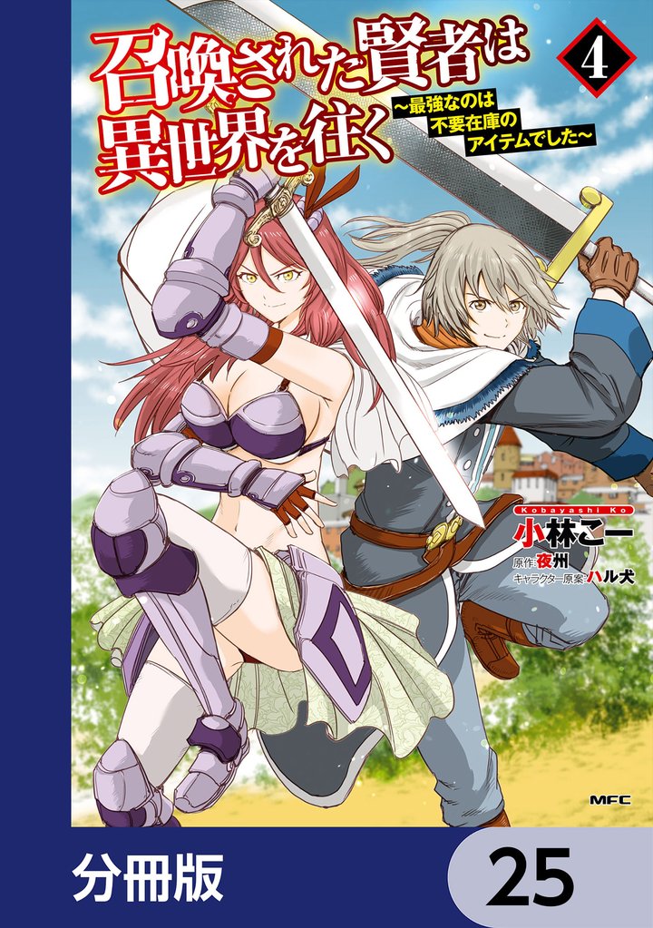 召喚された賢者は異世界を往く　～最強なのは不要在庫のアイテムでした～【分冊版】　25