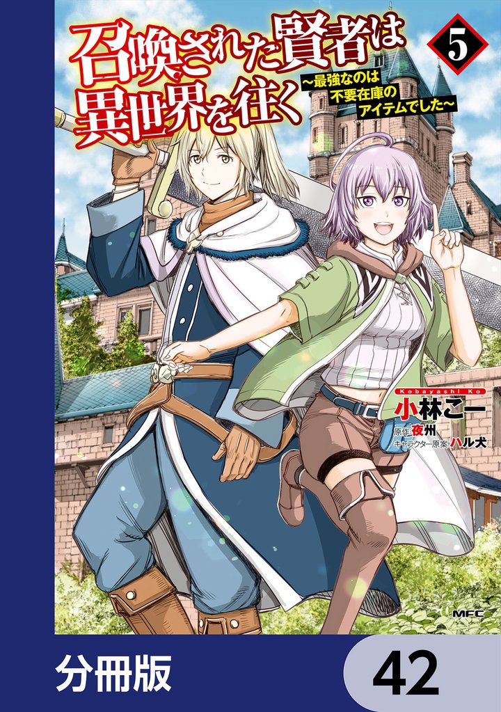召喚された賢者は異世界を往く　～最強なのは不要在庫のアイテムでした～【分冊版】　42
