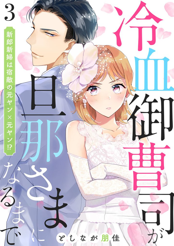 冷血御曹司が旦那さまになるまで～新郎新婦は宿敵の元ヤン×元ヤン！？～ 3 冊セット 全巻