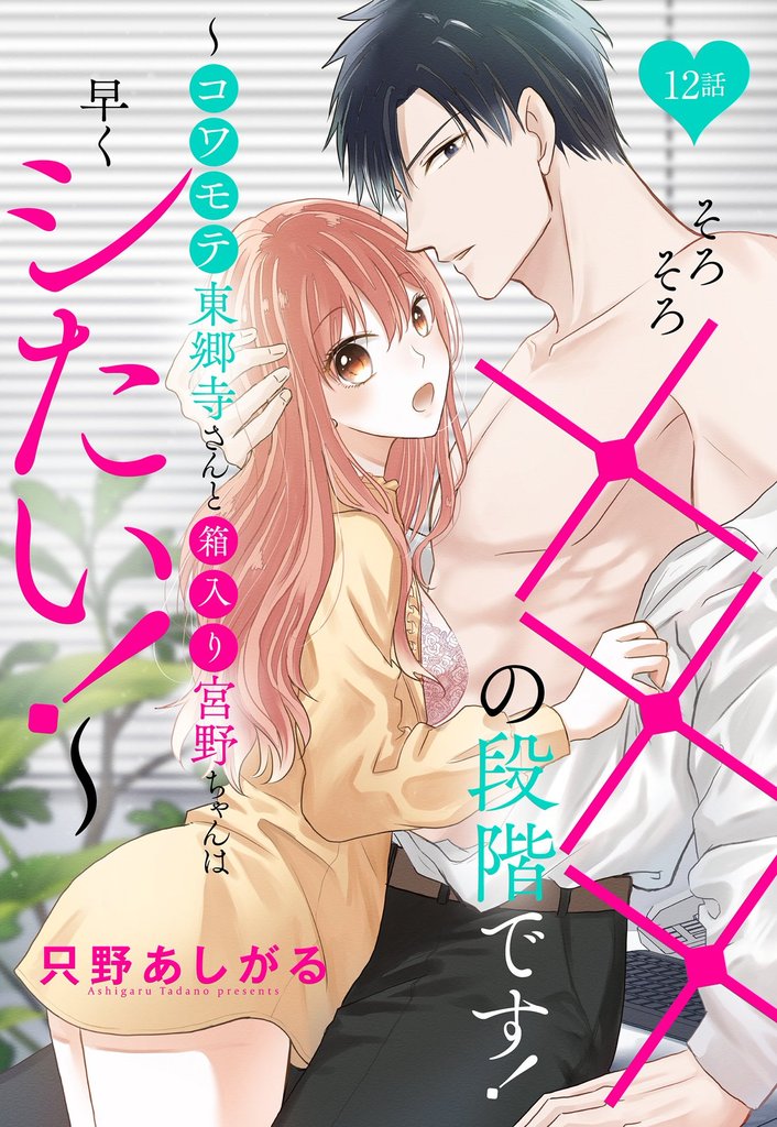 そろそろ×××の段階です!~コワモテ東郷寺さんと箱入り宮野ちゃんは早くシたい!~【単話売】 12話