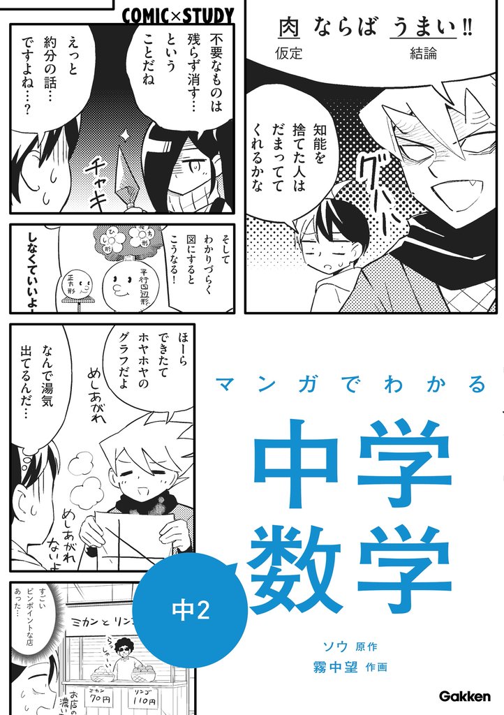 マンガでわかる中学数学 中2