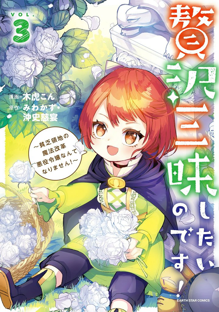 贅沢三昧したいのです！　～貧乏領地の魔法改革 悪役令嬢なんてなりません！～３
