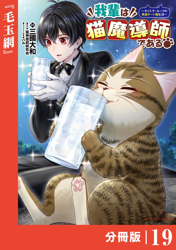 我輩は猫魔導師である～キジトラ・ルークの快適チート猫生活～【分冊版】（ポルカコミックス）１９