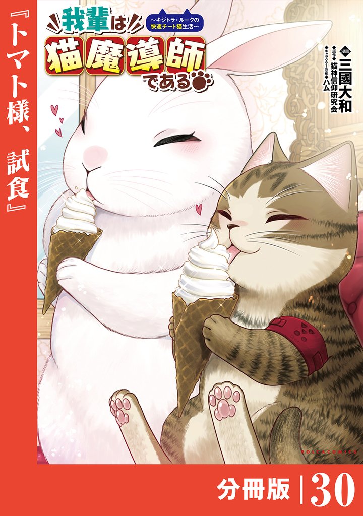 我輩は猫魔導師である~キジトラ・ルークの快適チート猫生活~【分冊版】(ポルカコミックス)30