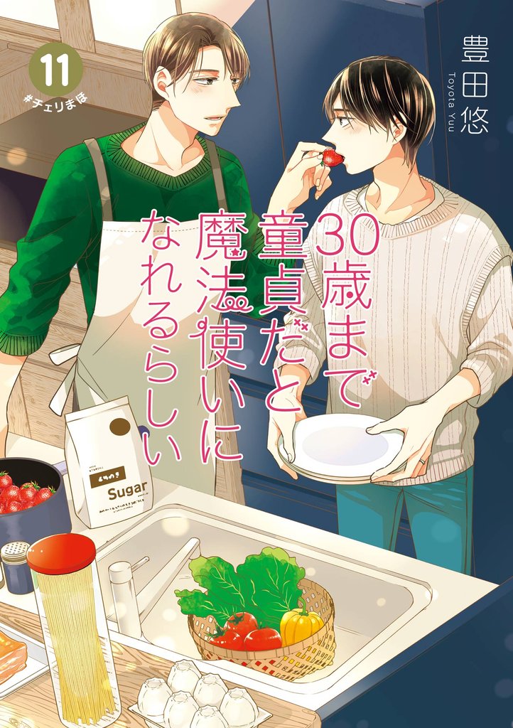 30歳まで童貞だと魔法使いになれるらしい 11巻特装版 純愛（ピュアラブ）Wedding After Party-Just married-小冊子付き【デジタル版限定特典付き】