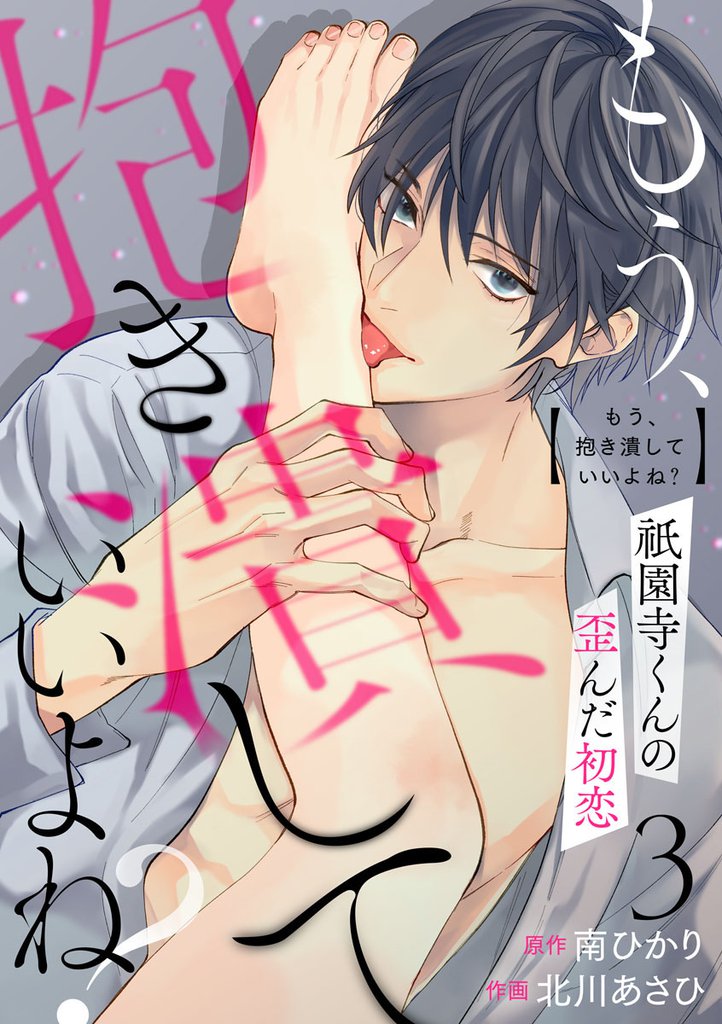 もう、抱き潰していいよね？祇園寺くんの歪んだ初恋 3 冊セット 全巻