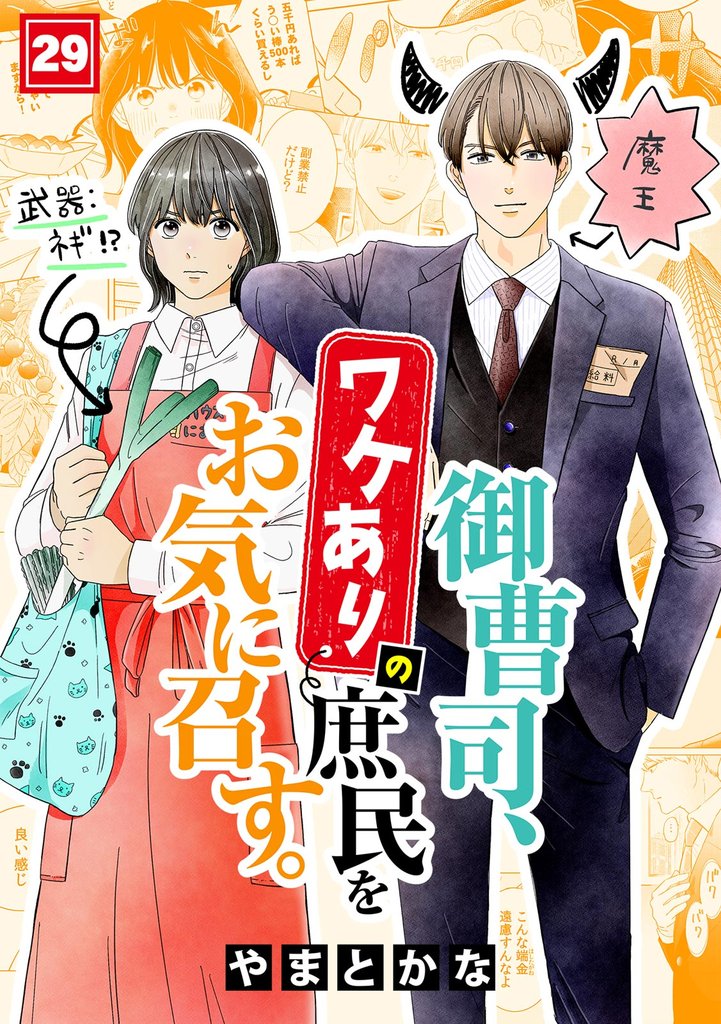 御曹司、ワケありの庶民をお気に召す。(29)