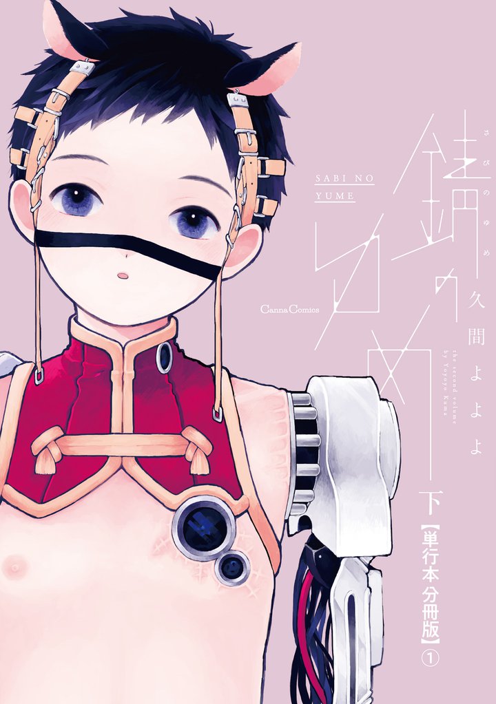 錆のゆめ 下【単行本 分冊版】１