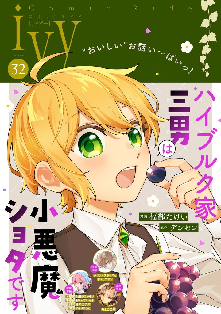 コミックライドアイビー 32 冊セット 最新刊まで