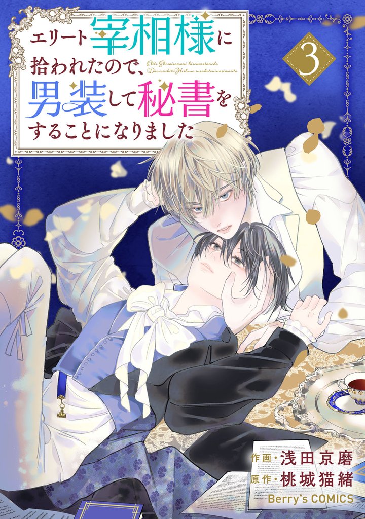 エリート宰相様に拾われたので、男装して秘書をすることになりました 3 冊セット 最新刊まで