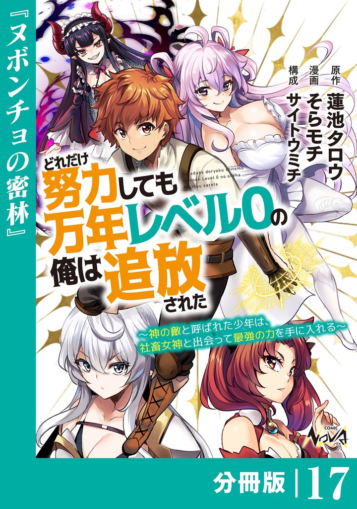 どれだけ努力しても万年レベル０の俺は追放された～神の敵と呼ばれた少年は、社畜女神と出会って最強の力を手に入れる～【分冊版】（ノヴァコミックス）１７