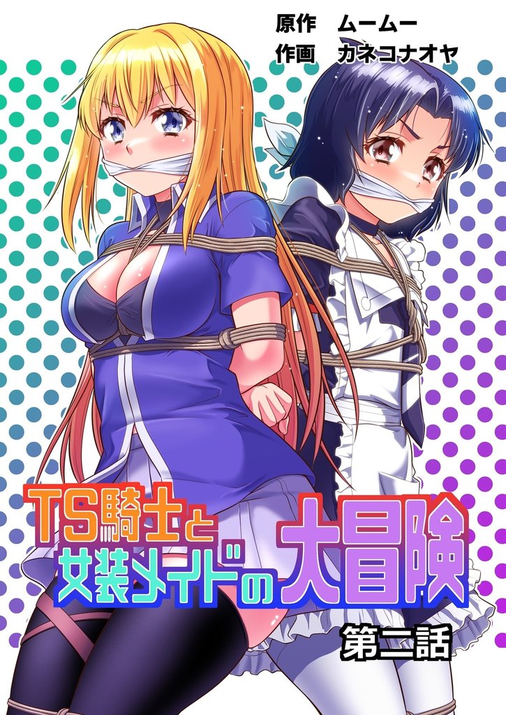 TS騎士と女装メイドの大冒険 2 冊セット 最新刊まで