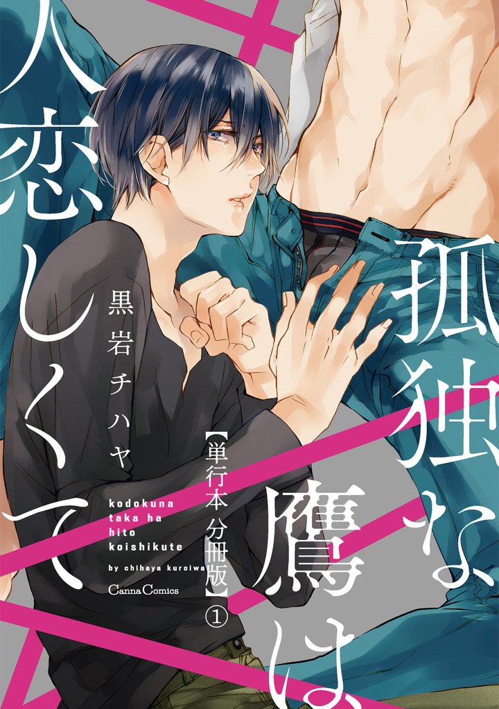 孤独な鷹は人恋しくて【単行本 分冊版】１