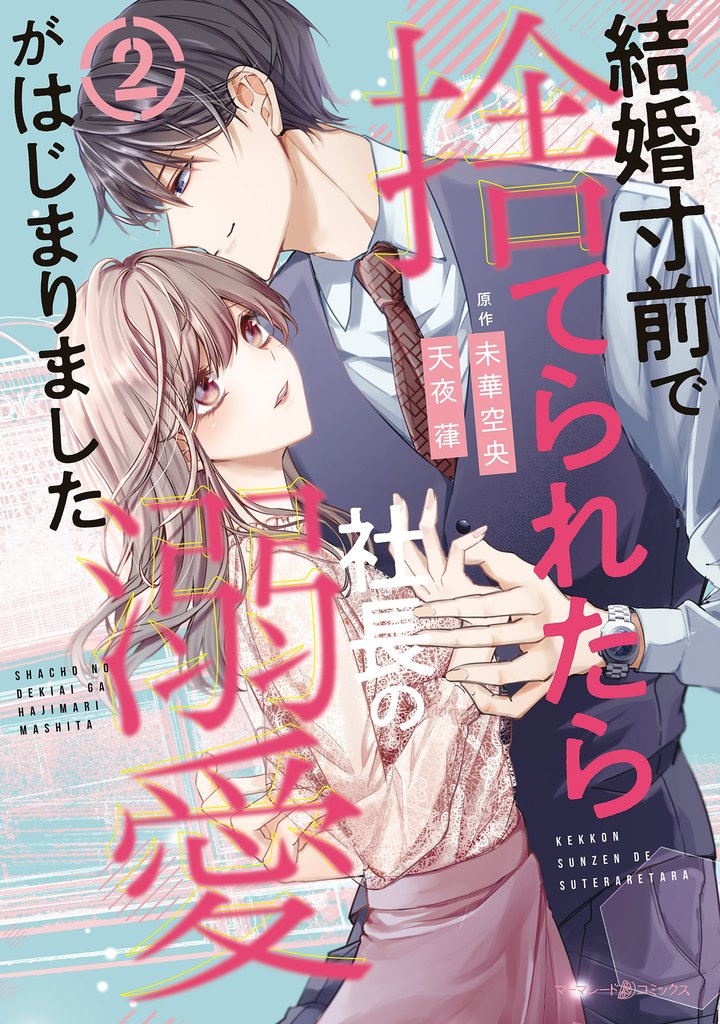 結婚寸前で捨てられたら社長の溺愛がはじまりました2