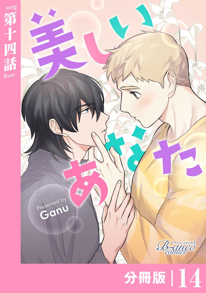 美しいあなた【分冊版】14（ビアンココミックス）